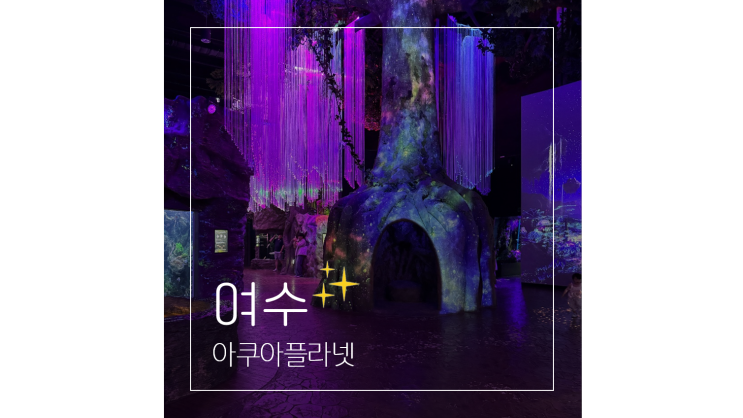  여수엑스포 아쿠아리움 주차 입장료부터 관람팁 커플여행 데이트코스