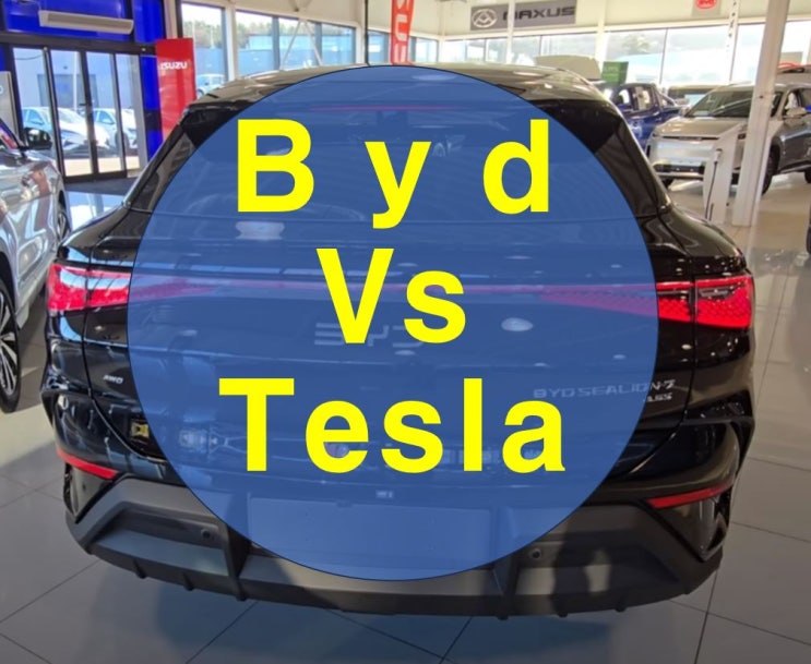  byd 테슬라 전기차 비교 당신의 선택은? (씨라이언7 모델y)