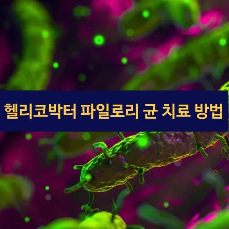  헬리코박터균 치료 | 헬리코박터 파일로리 감염 경로 | 위염 예방 제균 연구 | 위건강