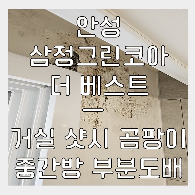  안성도배 삼정그린코아더베스트 34평 결로 곰팡이 벽지 보수
