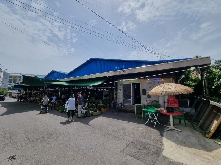  서귀포가볼만한곳 중문오일장 실제 볼거리 솔직 후기