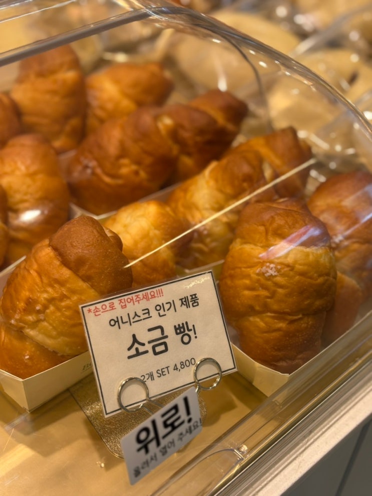  포항 빵집 대형 베이커리 카페 북구 어니스크 장성점 빵 종류 내 돈 내산