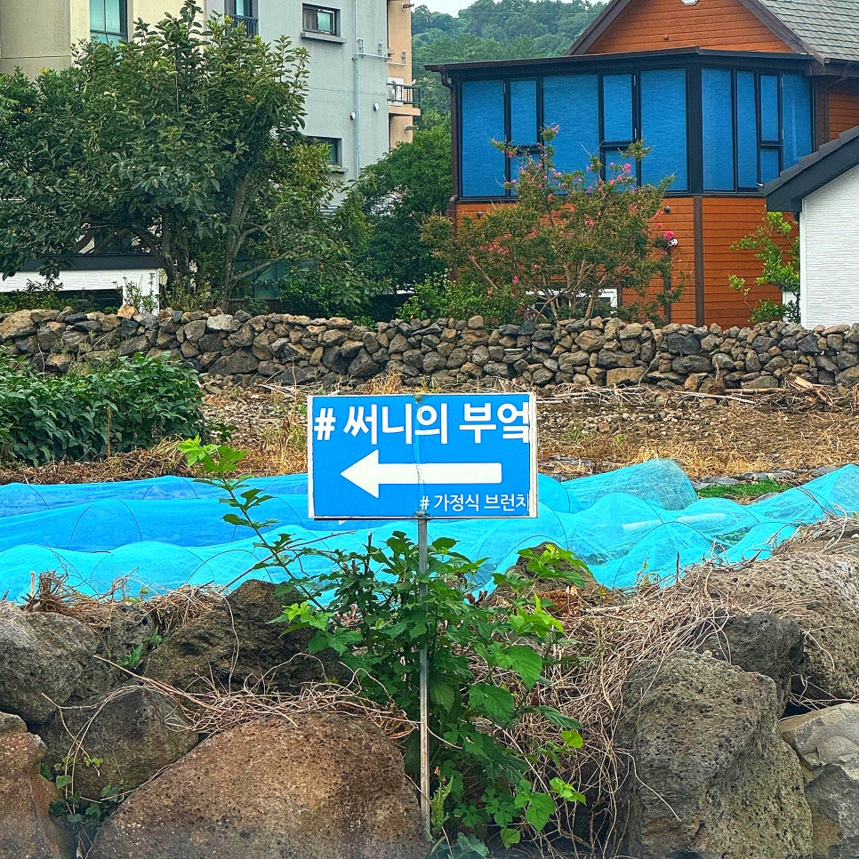 써니의부엌 사진 5