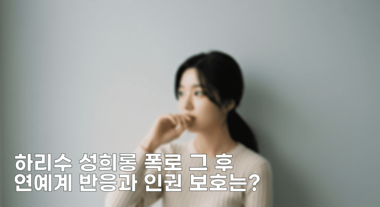<b>하리수 성희롱 폭로</b> 그 후 연예계 반응과 인권 보호는?