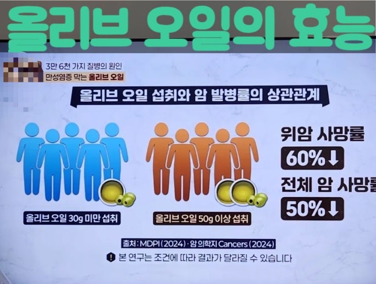  올리브 오일과 암 발병률의 관계를 건강수다에서 배웠어요