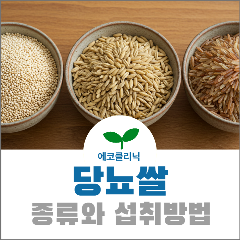 당뇨쌀의 종류와 섭취방법