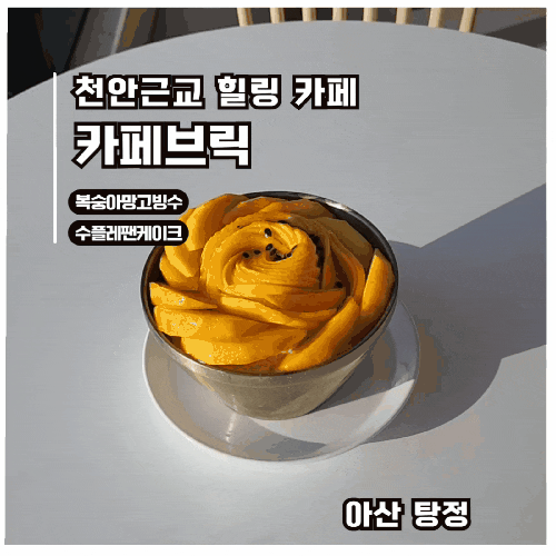  [아산 대형카페] 카페브릭 애플망고복숭아 빙수, 아이랑도 좋고 데이트에도 딱