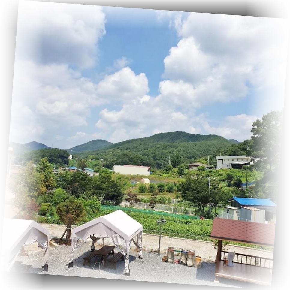 시에스타펜션 사진 3