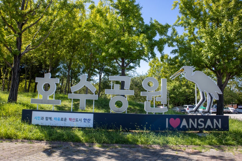 사진 6