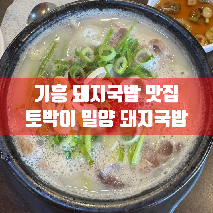  경기도 기흥 돼지국밥 맛집 | 토박이 밀양 돼지국밥 방문 후기 | 찐단골 리뷰