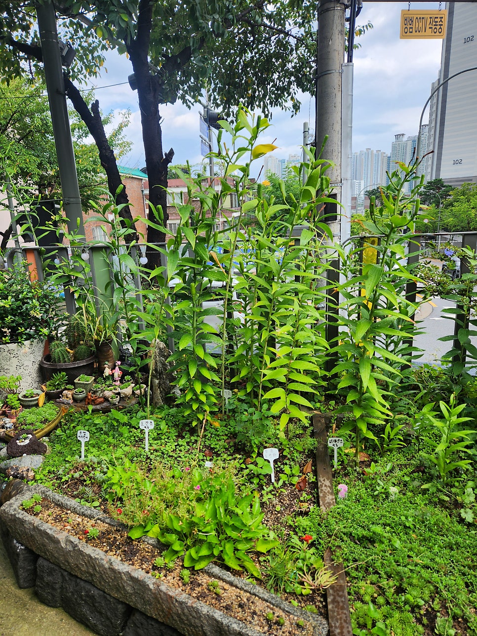 백팔식당 사진 6
