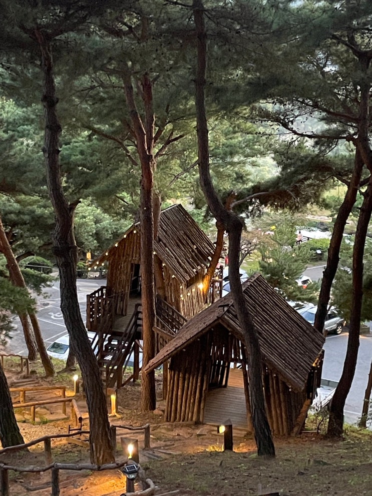  충북 제천 ES 리조트｜토끼가 있는 자연 속 휴양지, 매점, 산책, 펫플랜들리