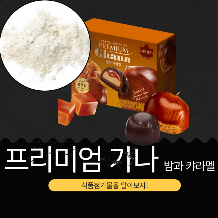  가을 한정 공주산 밤과 카라멜의 조화 [프리미엄 가나 밤과 카라멜] 리뷰