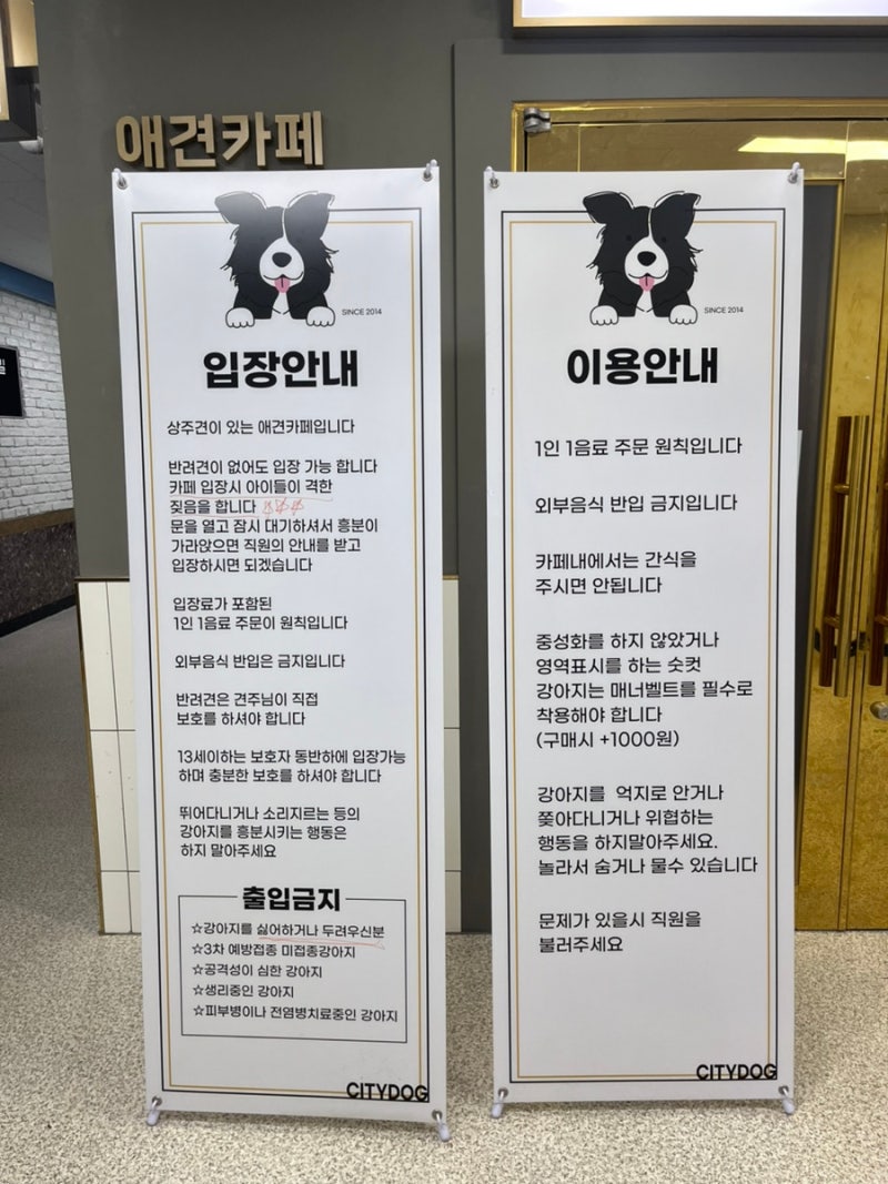 사진 2