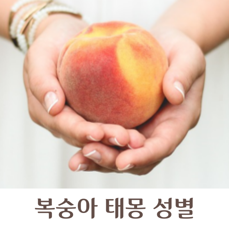 복숭아 태몽 성별 의미 해석은 무엇일까