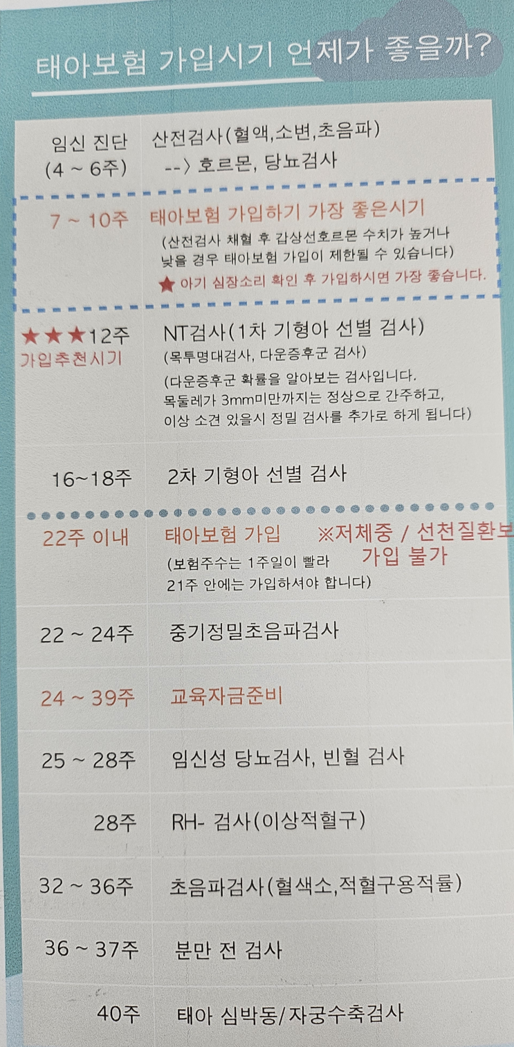  [출산] 태아보험 가입 관련 보험사(KB, 현대, 메리츠) 비교 및 세부사항(특약, 만기, 환급, 가입시기)