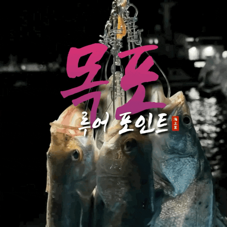  목포 루어바다낚시 마릿수 터진 농어 감성돔 조행기