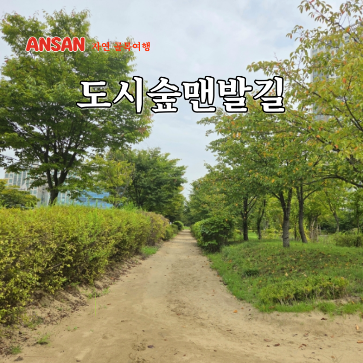  안산 도시숲 맨발걷기길 어싱 장소 황톳길 산책 명소