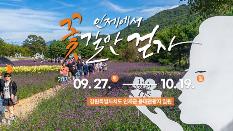  2025 인제 가을꽃축제, '설악산 단풍'과 즐기는 꽃의 향연! (입장료, 주차 꿀팁)