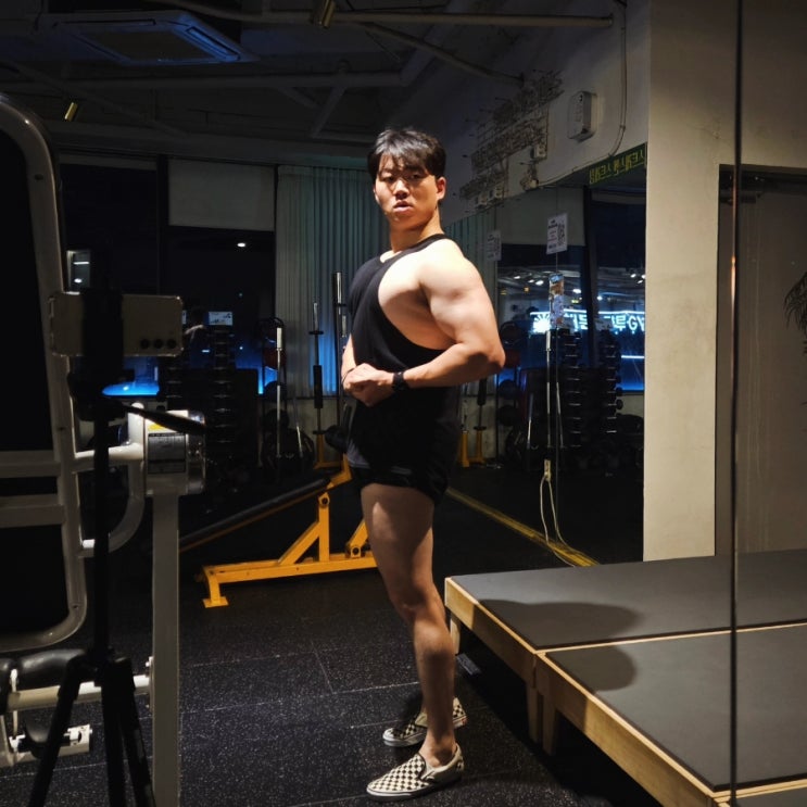 250909 어깨 가슴 삼두 운동루틴 체형분석