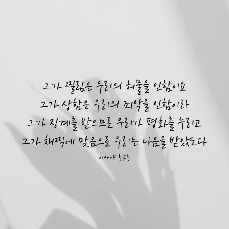  이사야 53장 5절/그가 채찍에 맞음으로 우리는 나음을 얻었도다