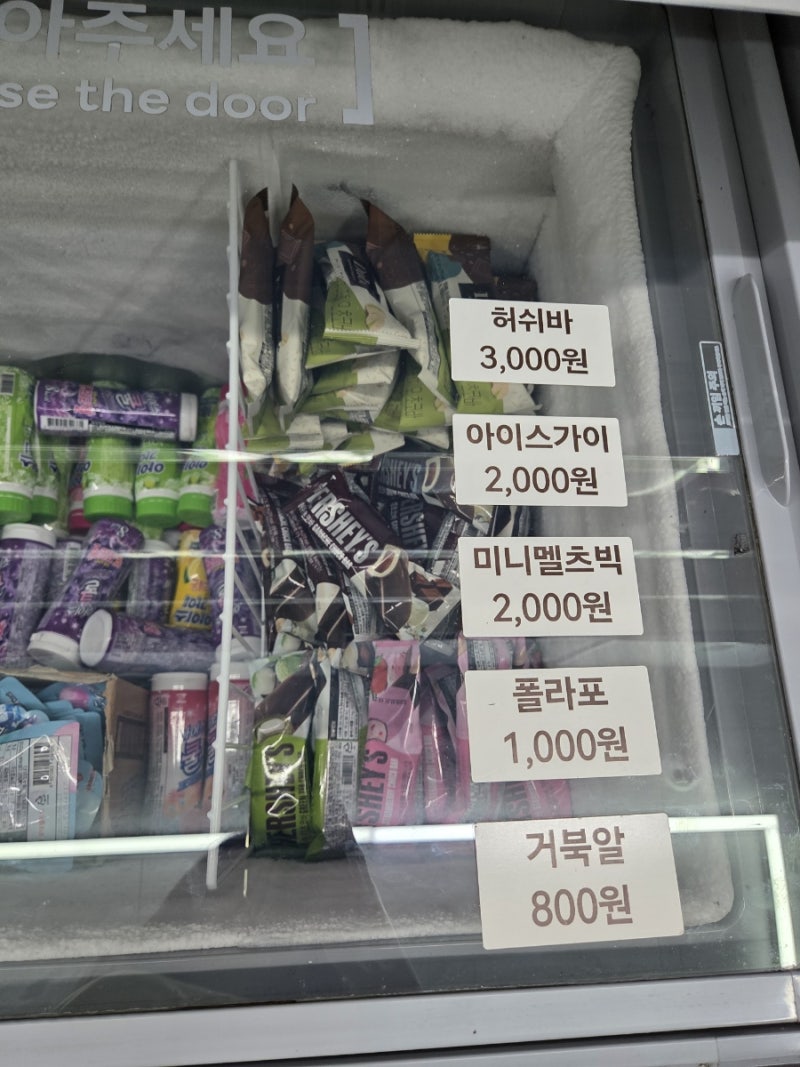 사진 5
