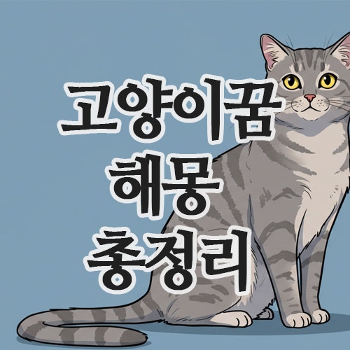  고양이꿈해몽 총정리 – 검은고양이꿈, 새끼고양이꿈 , 고양이 여러 마리 꿈 풀이