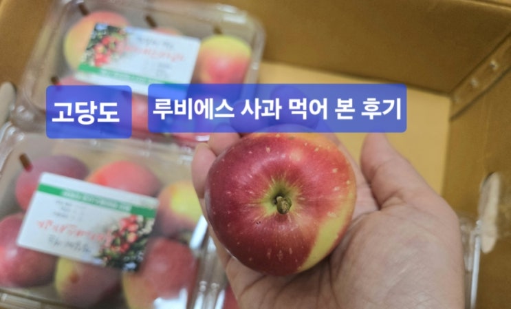  [먹어 본후기]한입에 아삭! 루비에스 미니사과, 당도 미쳤다/맛있게 먹는 법/보관&세척 법