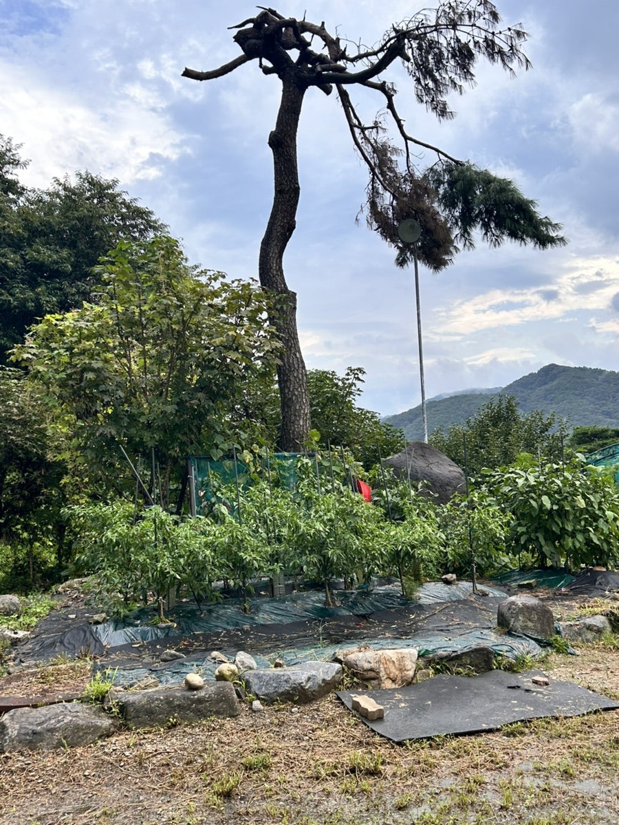 여울펜션 사진 5