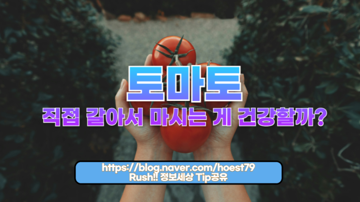  토마토 주스를 직접 갈아서 마시는 게 건강할까?