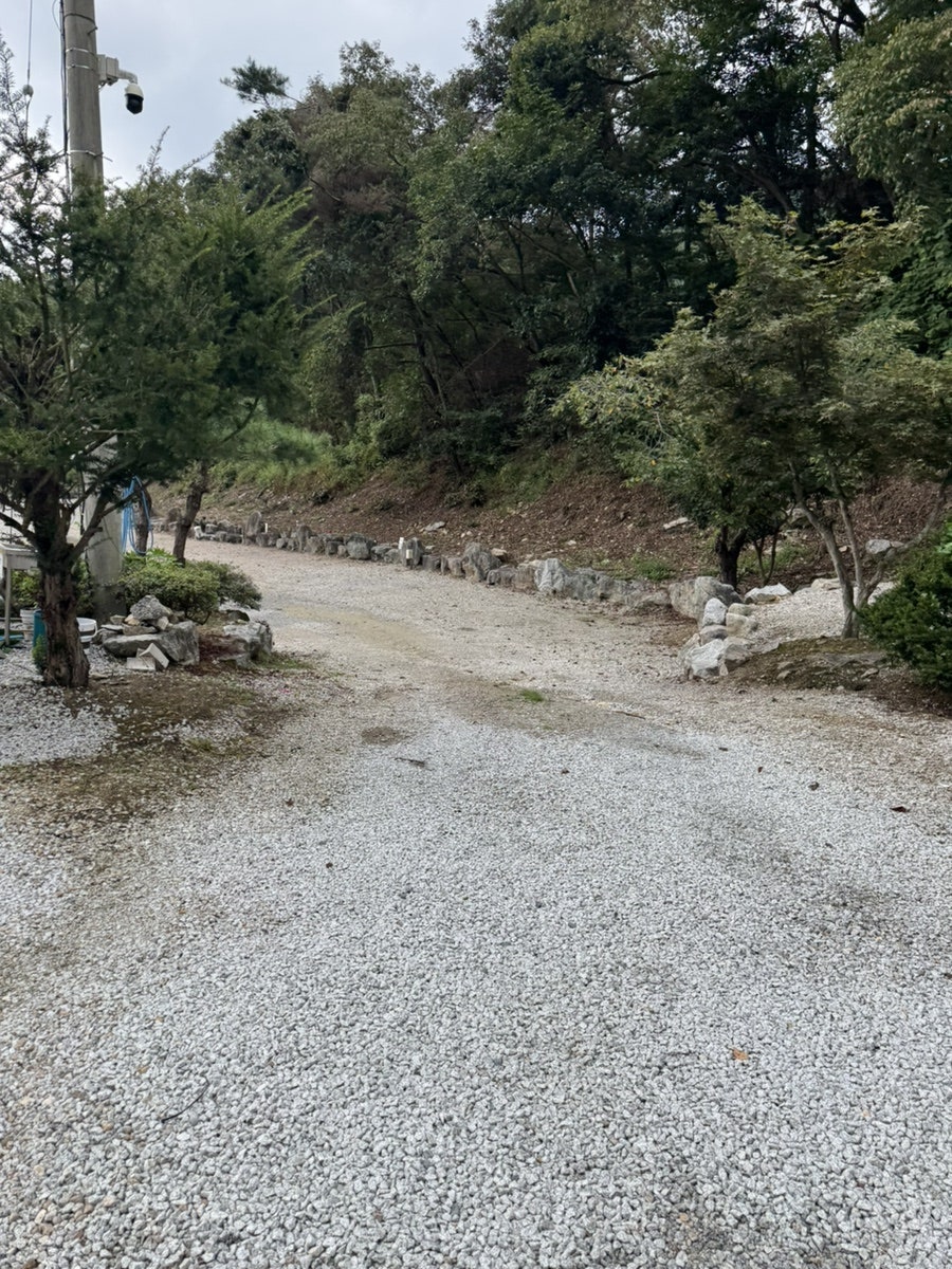 진밭골향기캠핑장 사진 5