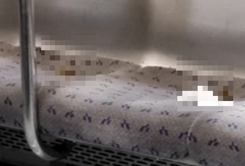  "청소하시는 분들은 무슨 죄.." 지하철 7호선 의자에서 발견된 충격적인 것 
