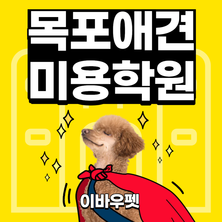  목포애견미용학원, 이바우펫으로 준비하는 길