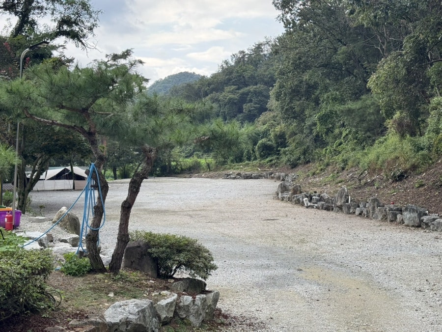 진밭골향기캠핑장 사진 6