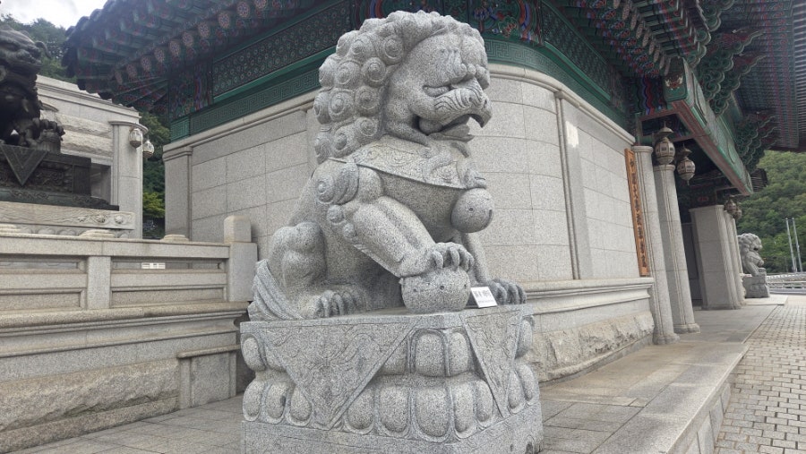 강원종합박물관 사진 6