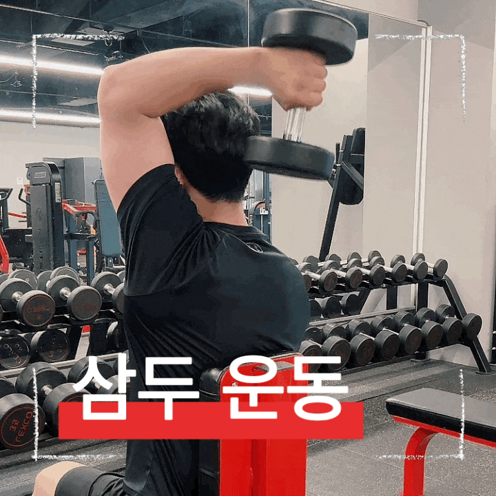  쉽게 따라하는 삼두근 운동 방법, 원 암 덤벨 오버헤드 익스텐션