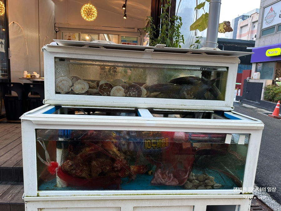 동해이모네 사진 2