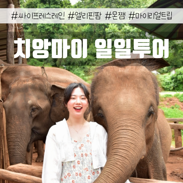  치앙마이 4박 5일 자유여행 | 마이리얼트립 일일투어 솔직 후기