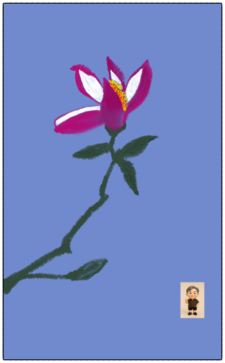  자목련(1)