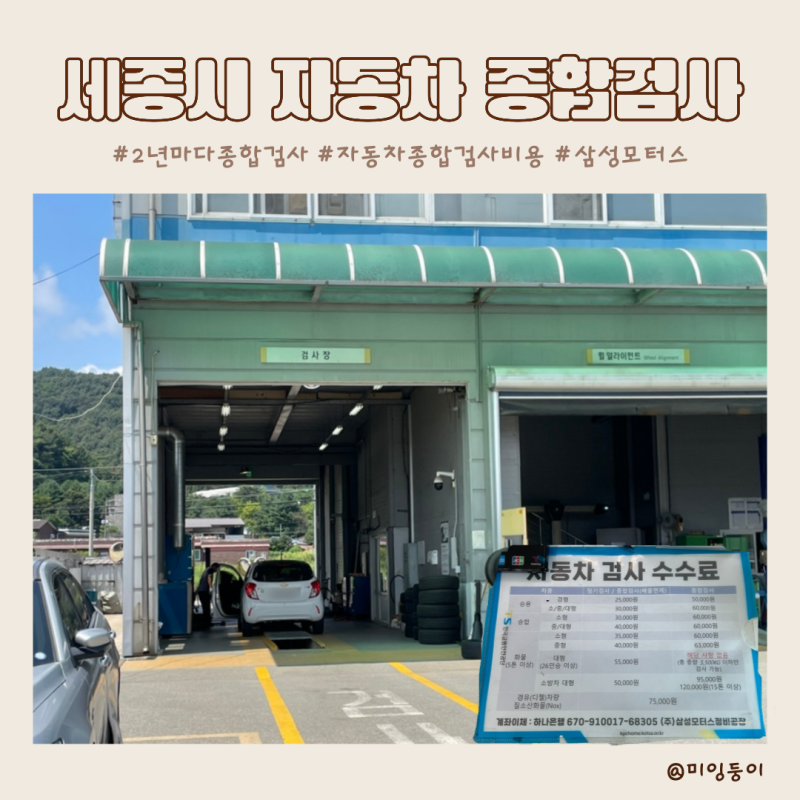 세종시 자동차 종합검사 주기, 예약 및 비용