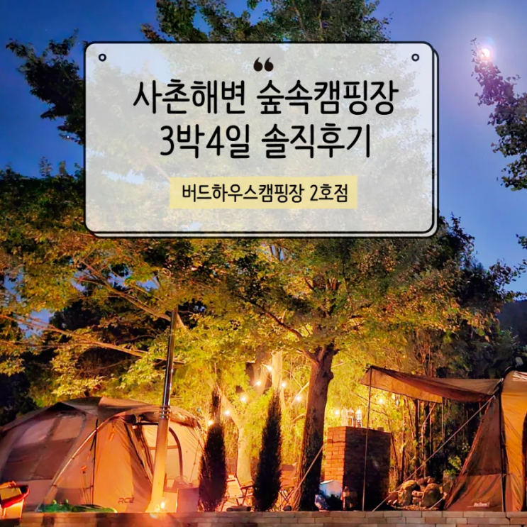  버드하우스캠핑장 사촌해변 2호점, 지금이 전세캠핑 타이밍!