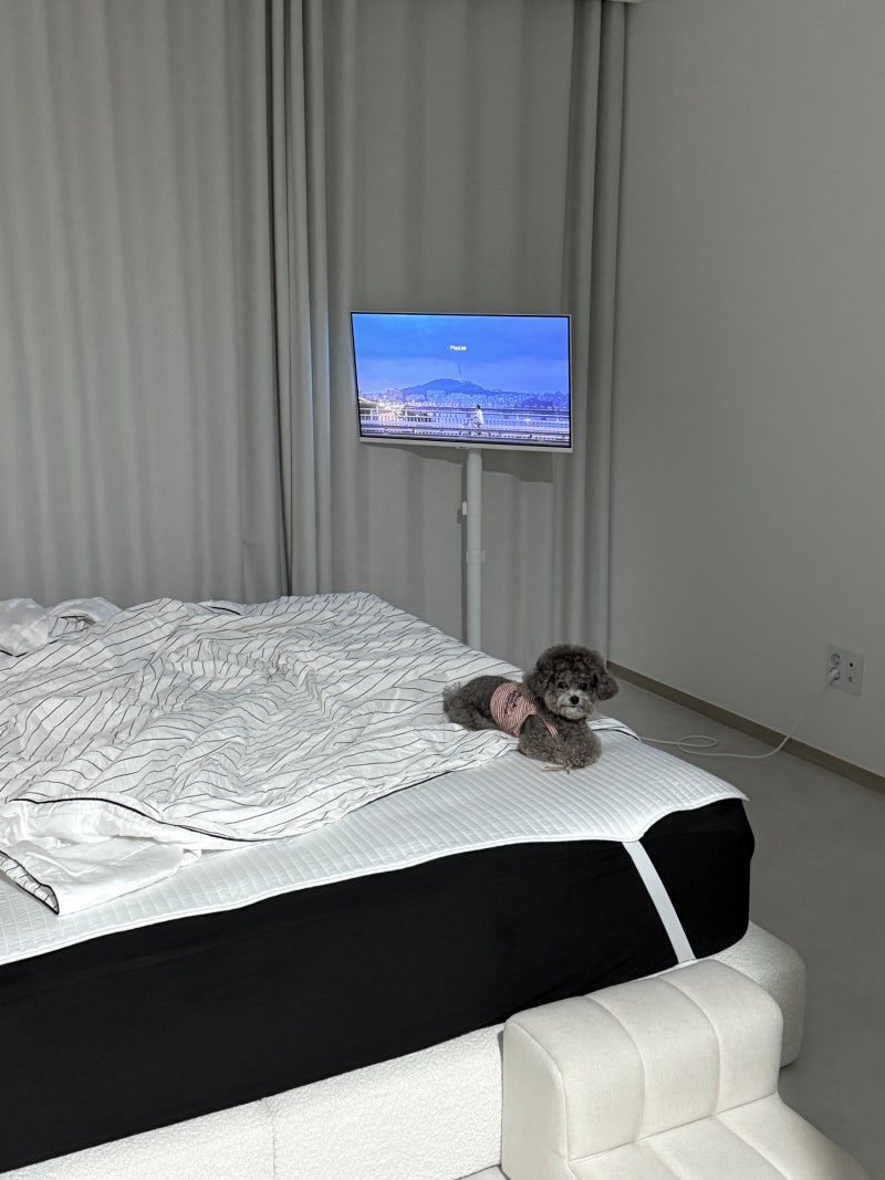 삼성 스탠바이미 m7 32인치 스마트싱스 후기