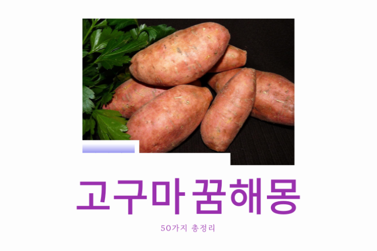  고구마 꿈해몽