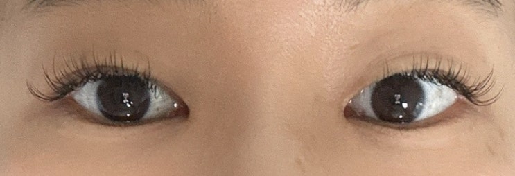  내돈내산 대구 북구 태전동 속눈썹 잘하는 유니뷰티