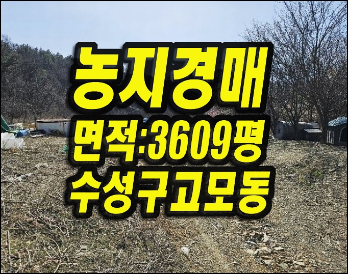  대구시 수성구 고모동 농지 과수원 경매 매매 자연녹지지역