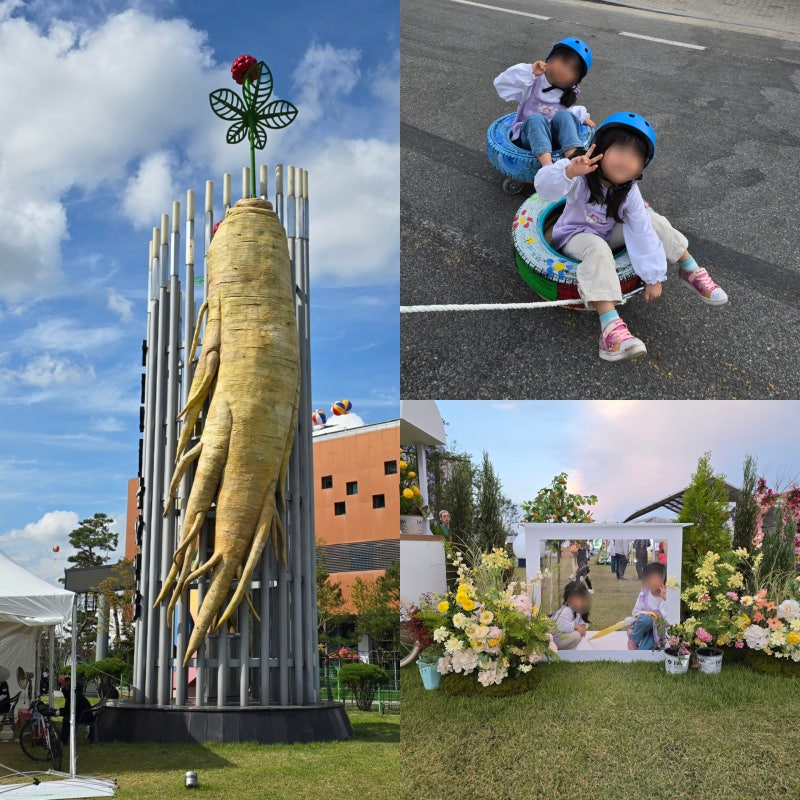 2025 금산인삼축제 기간 기본정보 날짜 주차장 가수 라인업