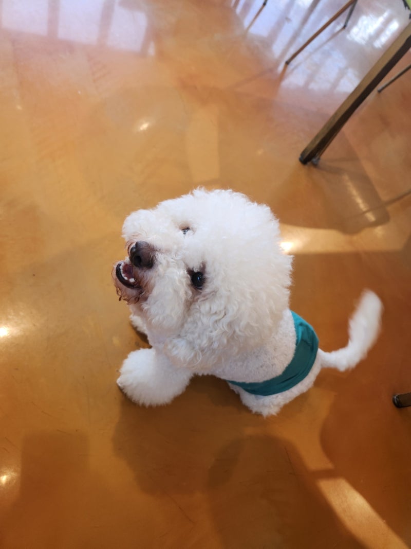사진 2