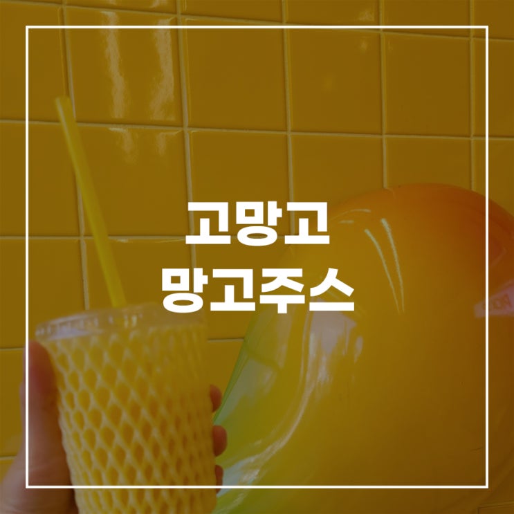  홍대 연남 고망고 메뉴 가격 추천 망고주스 후기