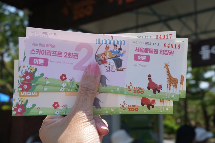  과천 서울대공원 동물원 리프트 패키지 경기도 관광지 예약법