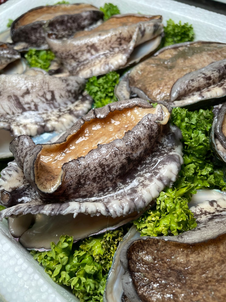  노량진수산시장맛집 탐나전복, 추석 부모님 선물세트 포장 후기